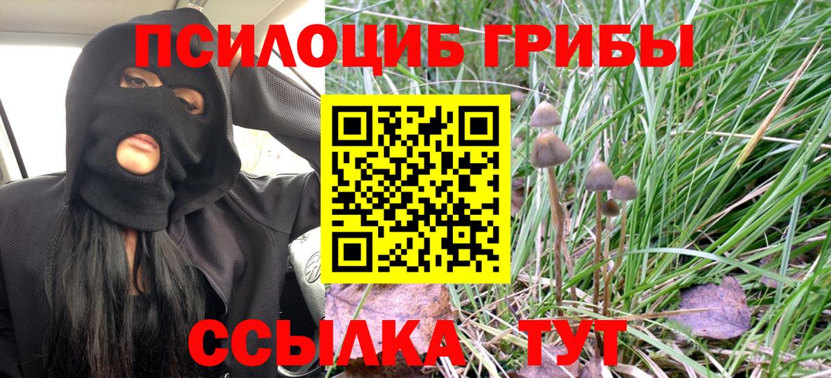 Орёл  Псилоцибиновые грибы прущие грибы  Вход с VPN 