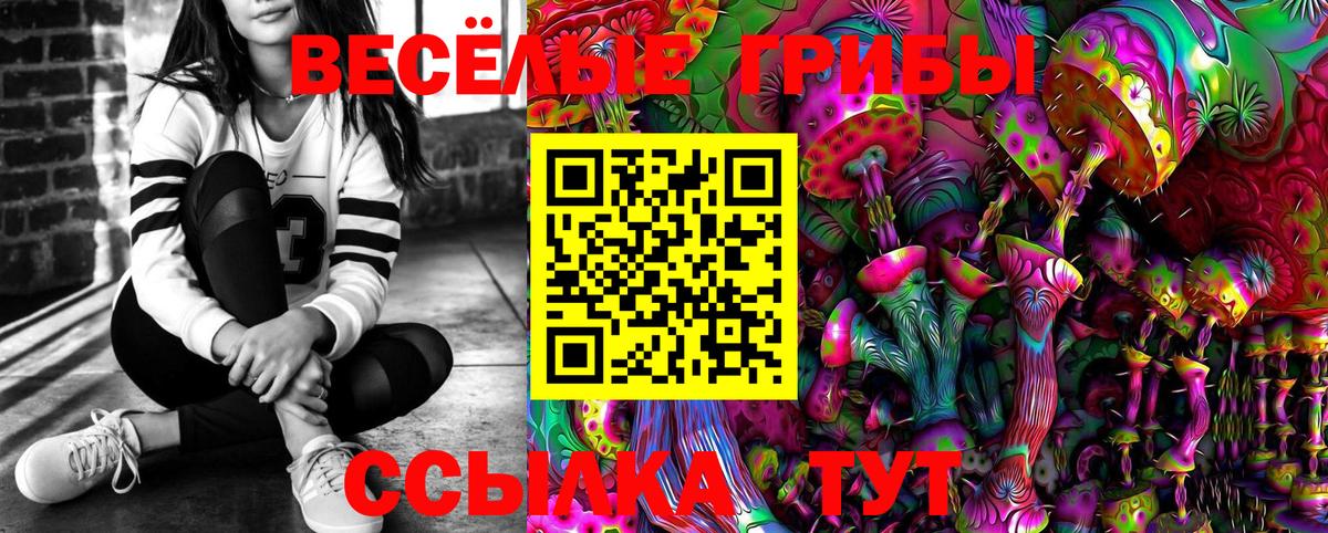 Псилоцибиновые грибы GOLDEN TEACHER Орёл